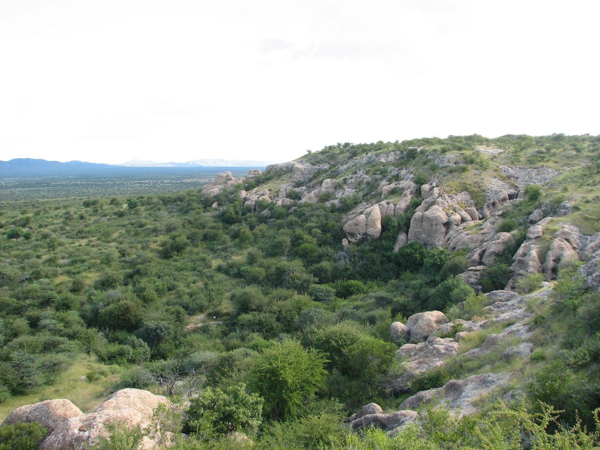 Sasa Safari Camp & Tours Villa Outjo Exteriör bild