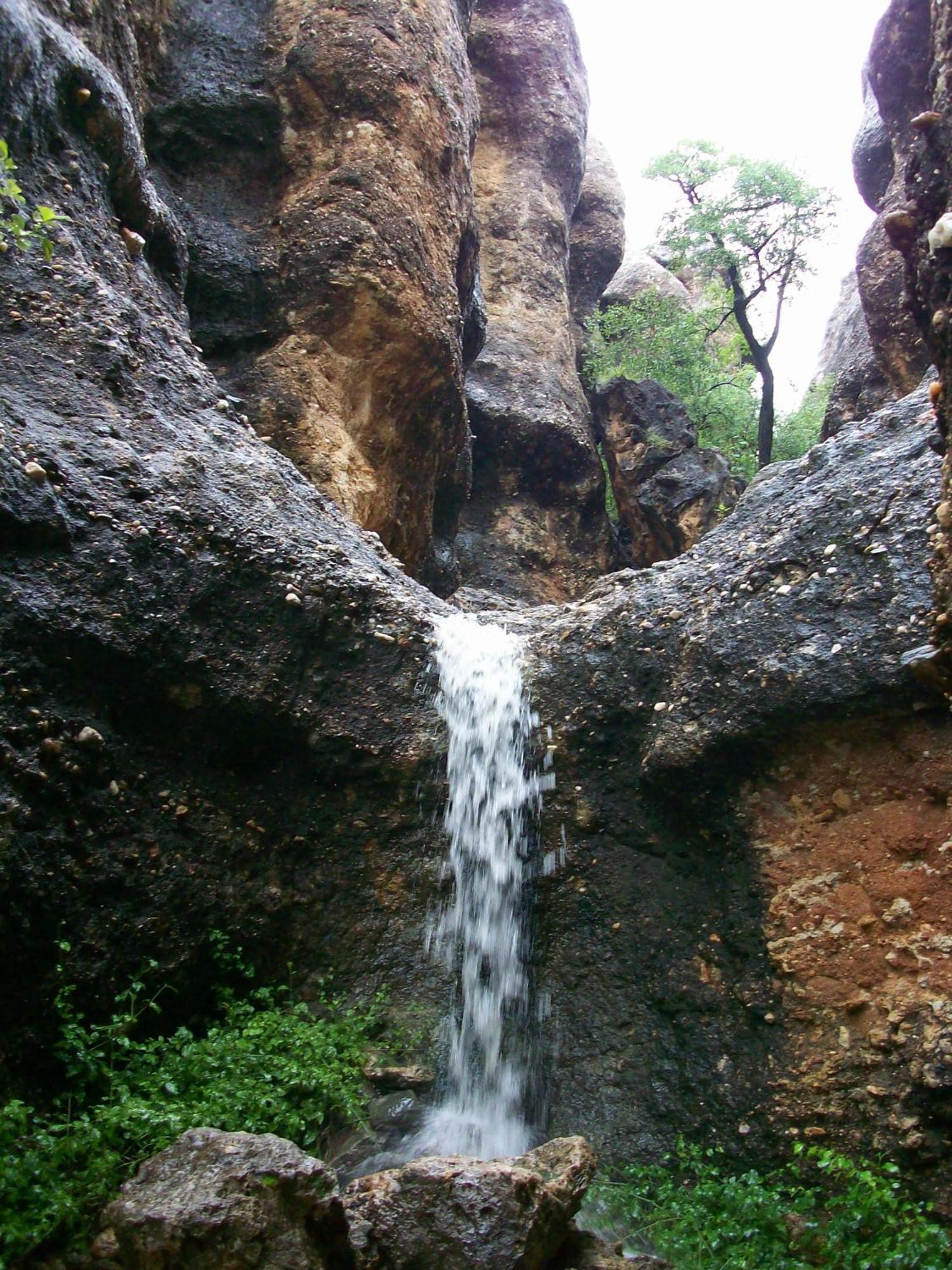 Sasa Safari Camp & Tours Villa Outjo Exteriör bild